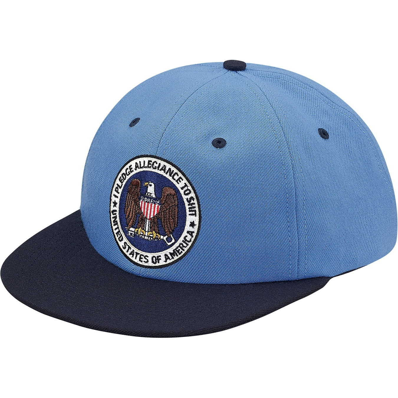 Pledge Allegiance 6-Panel view 4